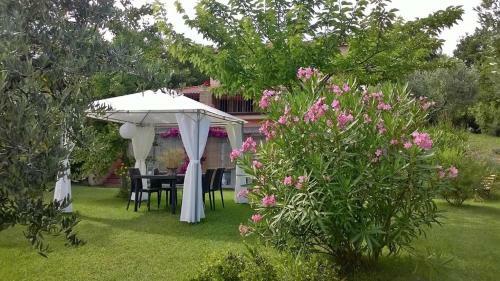 B&B Lieti Colli