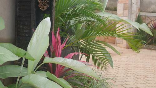 Ntinda View Apartments