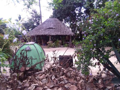 Hostal Eazy's Place