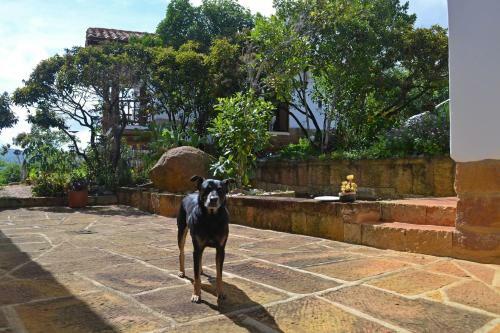 Bed & Breakfast Zuasinca