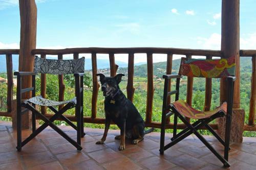 Bed & Breakfast Zuasinca