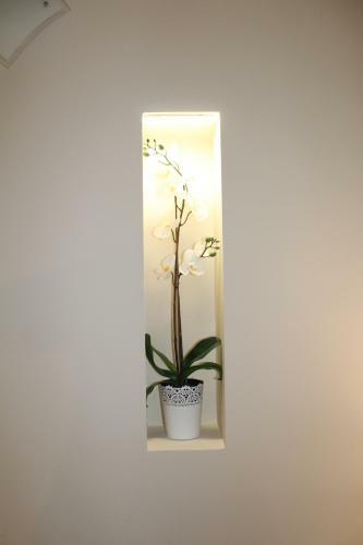 B&B Del Corso