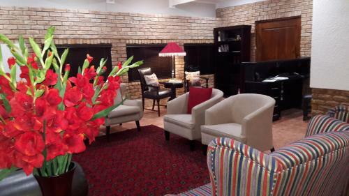 Hostal The Willow Tree Guesthouse