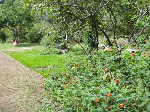 Hostal Pousada Verde Folhas