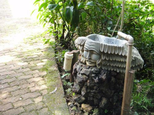 Hostal Pousada Verde Folhas