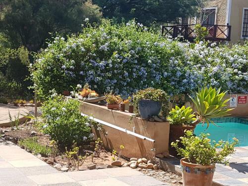 Bed & Breakfast Steytlerville Villa Guest House