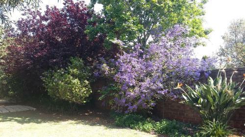 At The View B&B