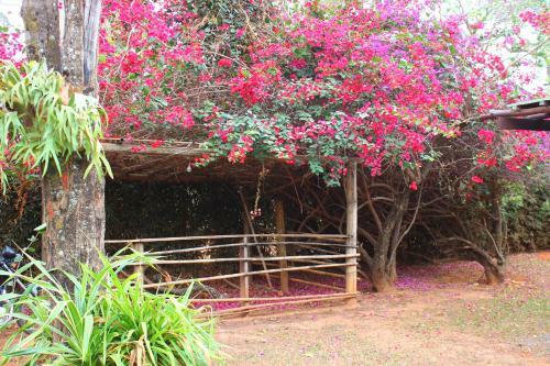 Hostal Hostel Espa�o Mandalla