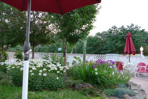 Red Wing Motel