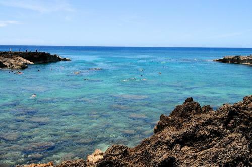 Agroturismo Kalani Hawaii Private Lodging
