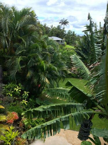 Agroturismo Kalani Hawaii Private Lodging