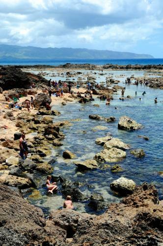 Agroturismo Kalani Hawaii Private Lodging