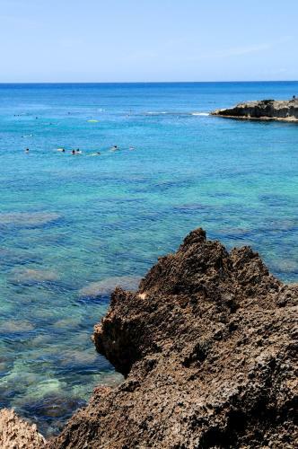 Agroturismo Kalani Hawaii Private Lodging