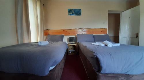Bed & Breakfast Strandhill Lodge, Hostel & Surf