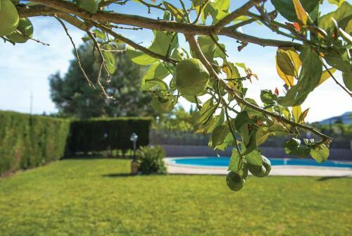 Villa Ca'n Vilar