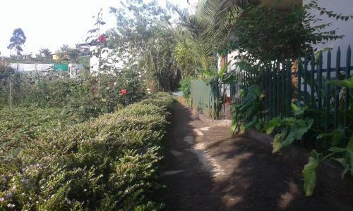 Hostal Avon Field Holiday Bungalow