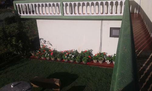 Hostal Avon Field Holiday Bungalow