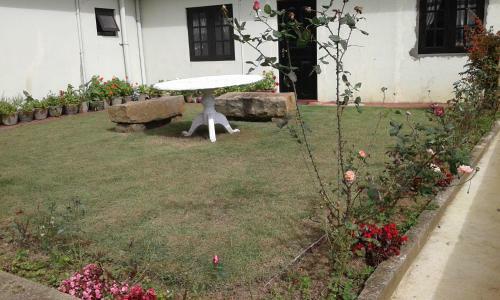 Hostal Avon Field Holiday Bungalow