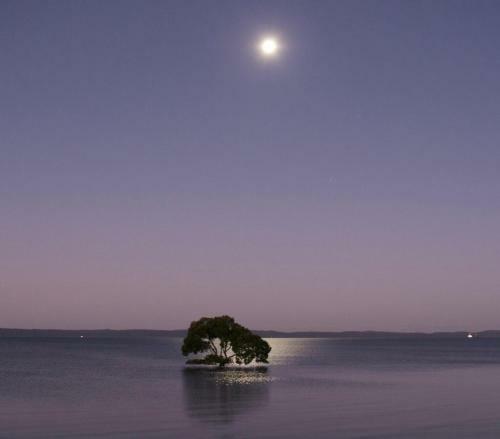 Apartamento Moreton Bay Beach Lodge