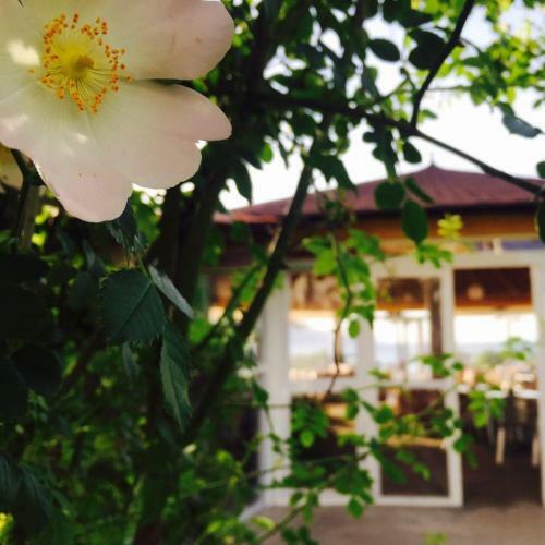 Hotel Kompleksi Turistik Edir