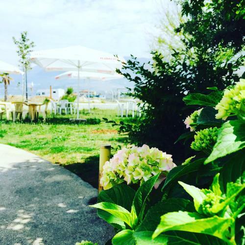 Hotel Kompleksi Turistik Edir