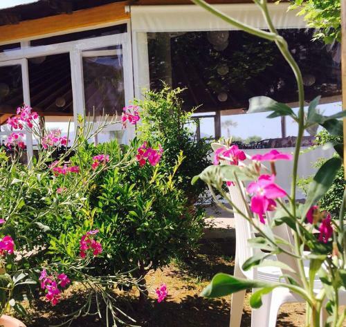 Hotel Kompleksi Turistik Edir