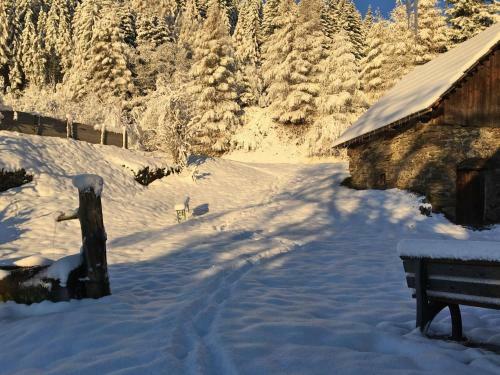 Farm Stay Hirschegg 222