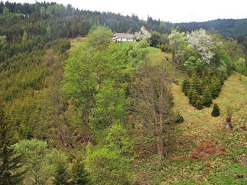 Farm Stay Hirschegg 222