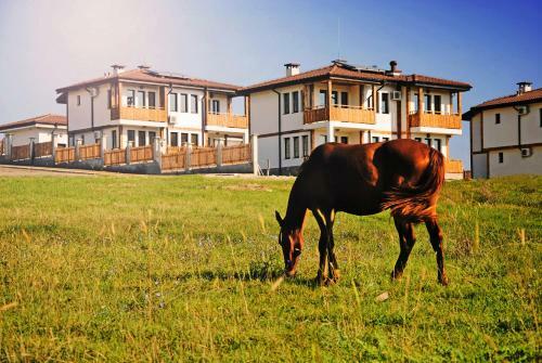 Bed & Breakfast Vis Velika