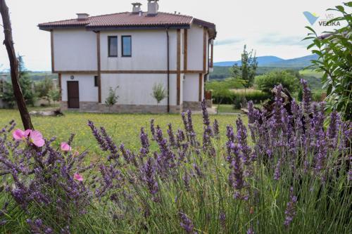 Bed & Breakfast Vis Velika
