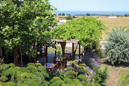 Bed & Breakfast Vis Velika