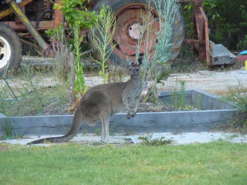 Nannup Bush Retreat