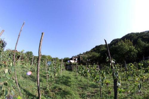 Hostal Chateau Dio