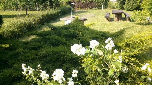 Hostal All-inn K�re