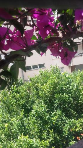 Hostal Centar Guest House