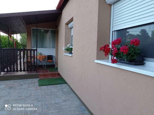 S�rgapart Holiday Home