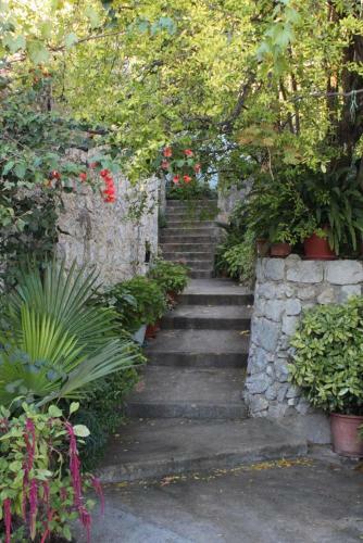 Hostal Studio Trsteno 8594a