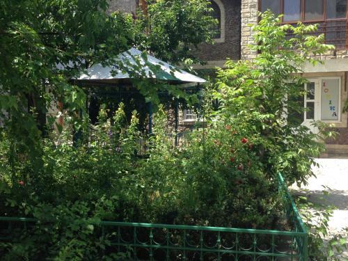 Amazing Ionika Hostel