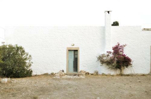 Villa Grikos House