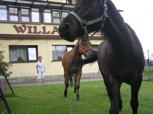 Hostal Willa Pod Brzozami