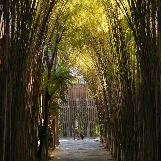 The Elysian Boutique Villa