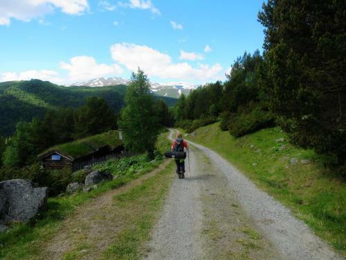 Lodge Strind Gard, Visdalssetra