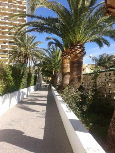 Apartamento Puigval