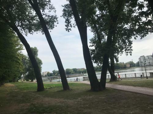 Elite New Center Apartment At The Lake