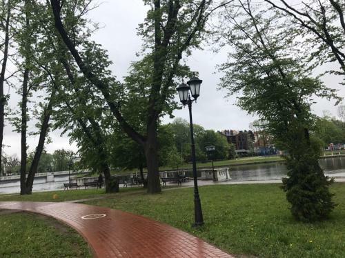 Elite New Center Apartment At The Lake