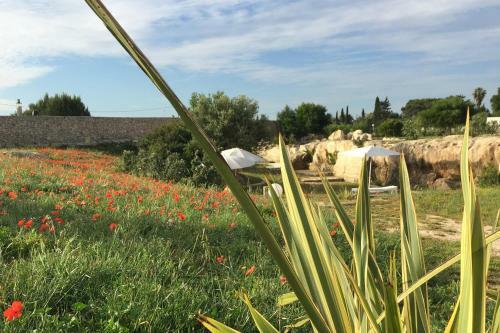 Masseria Gelsi B&B And Events