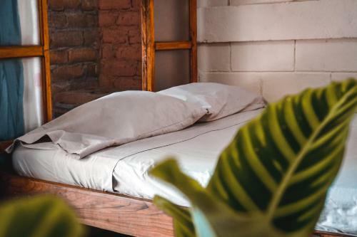 Hostal Los Chamos