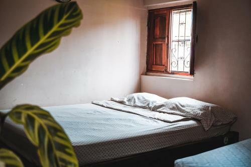 Hostal Los Chamos
