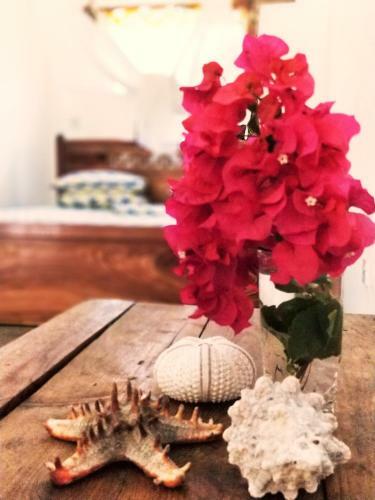 Bed & Breakfast Simon House