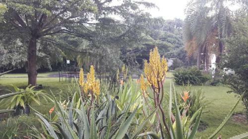 Bed & Breakfast Blues & Chutney Country